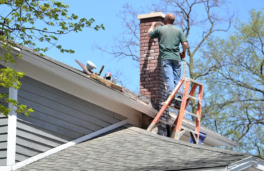 Chimney & Fireplace Inspections Services in Highland Park, IL